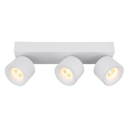 Globo - LED-kohdevalaisin 3xLED/6W/230V valkoinen