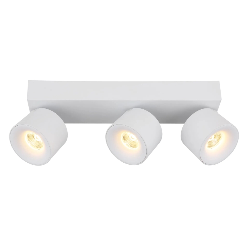 Globo - LED-kohdevalaisin 3xLED/6W/230V valkoinen