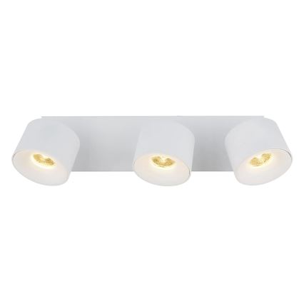 Globo - LED-kohdevalaisin 3xLED/6W/230V valkoinen
