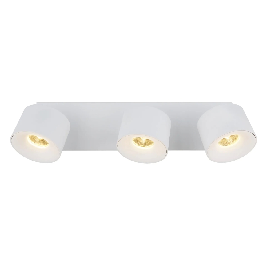 Globo - LED-kohdevalaisin 3xLED/6W/230V valkoinen