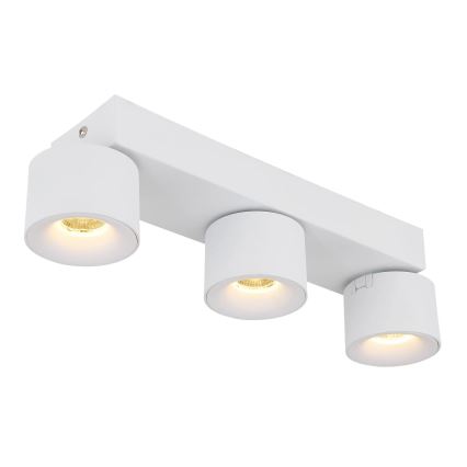 Globo - LED-kohdevalaisin 3xLED/6W/230V valkoinen