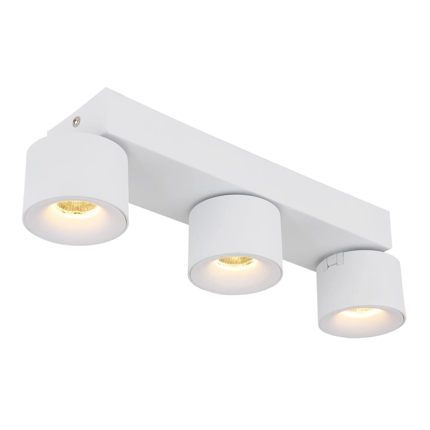 Globo - LED-kohdevalaisin 3xLED/6W/230V valkoinen