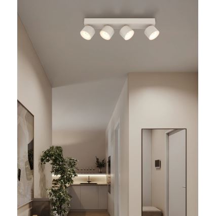 Globo - LED-kohdevalaisin 4xLED/6W/230V