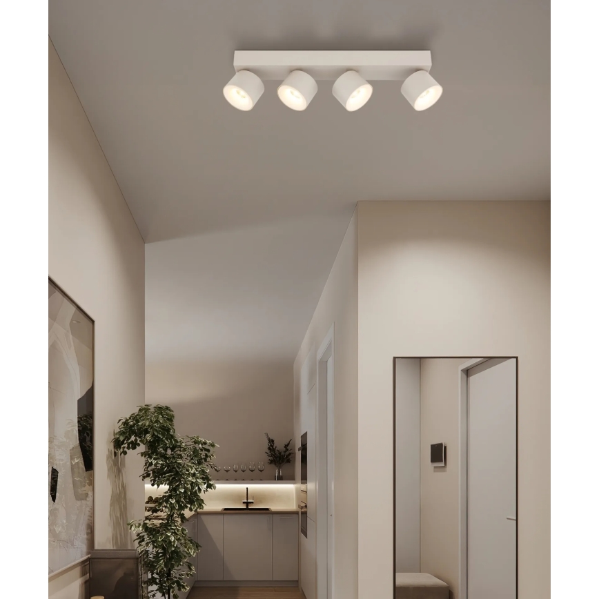 Globo - LED-kohdevalaisin 4xLED/6W/230V