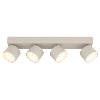 Globo - LED-kohdevalaisin 4xLED/6W/230V