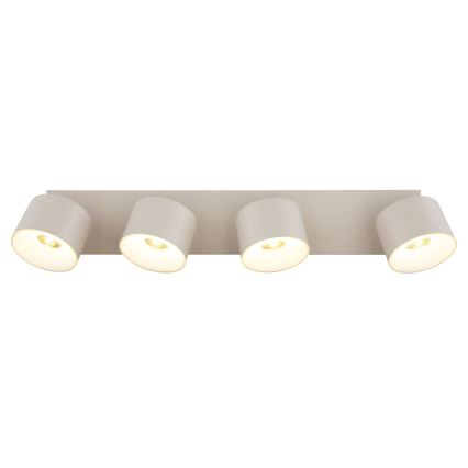 Globo - LED-kohdevalaisin 4xLED/6W/230V