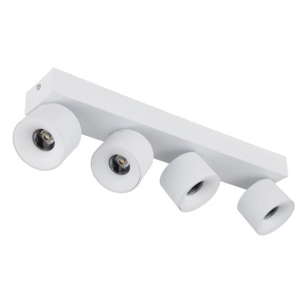 Globo - LED-kohdevalaisin 4xLED/6W/230V valkoinen
