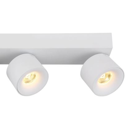 Globo - LED-kohdevalaisin 4xLED/6W/230V valkoinen