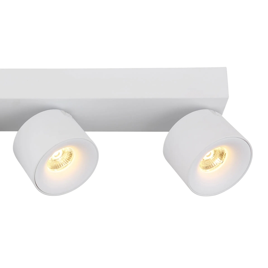 Globo - LED-kohdevalaisin 4xLED/6W/230V valkoinen