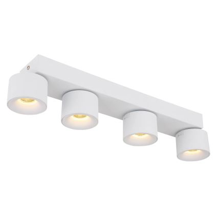 Globo - LED-kohdevalaisin 4xLED/6W/230V valkoinen
