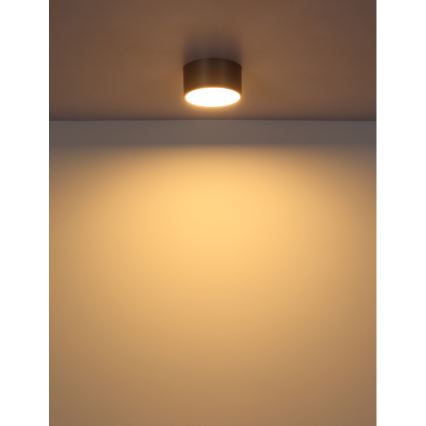 Globo - LED-kattovalaisin LED/12W/230V Ø 15 cm 3000K messinki