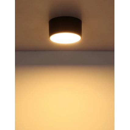 Globo - LED-kattovalaisin, 12 W, 230 V, 3000 K, halkaisija 15 cm, musta