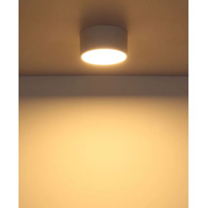 Globo - LED kattovalaisin LED/12W/230V 3000K halkaisija 15 cm valkoinen