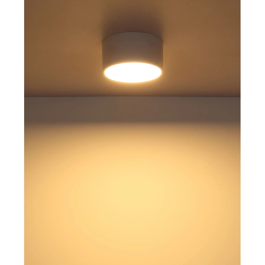 Globo - LED kattovalaisin LED/12W/230V 3000K halkaisija 15 cm valkoinen