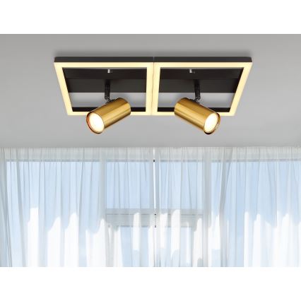 Globo - LED-kattovalaisin 2xGU10/5W/230V + LED/22W/230V