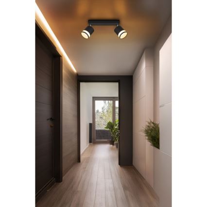 Globo - LED-kohdevalaisin 2xGX53/7W/230V 3000K