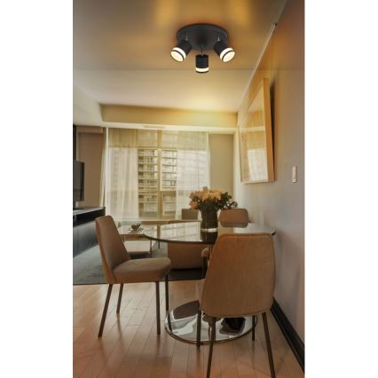 Globo - LED-kohdevalaisin 3xGX53/7W/230V 3000K