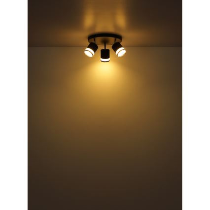 Globo - LED-kohdevalaisin 3xGX53/7W/230V 3000K
