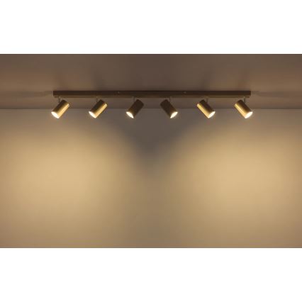 Globo - Kohdevalaisin 6xGU10/35W/230V