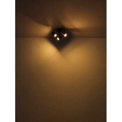Globo - Kohdevalo 3xGU10/25W/230V musta