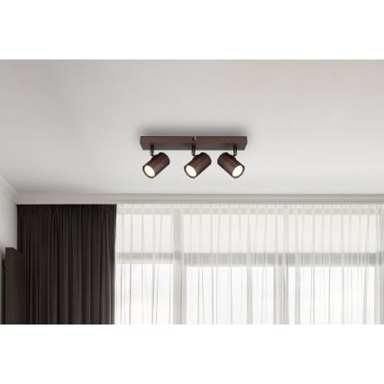 Globo - Kohdevalo 3xGU10/25W/230V ruskea