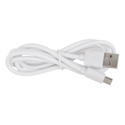 Globo - LED Himmennettävä kosketus ulko lamppu LED/3W/3,7V IP44 1800 mAh USB valkoinen