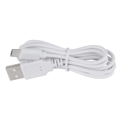 Globo - Himmennettävä LED-kosketuspöytävalaisin LED/1W/3,7V 3000K 1800 mAh USB valkoinen