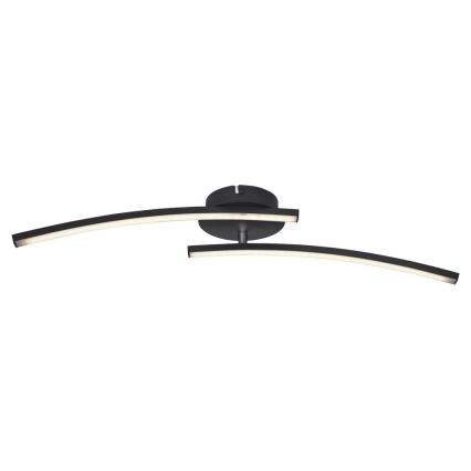 Globo - Kiinteä LED-kattokruunu 2xLED/6W/230V 3000/4000/6000K