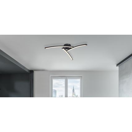 Globo - Kiinteä LED-kattokruunu 3xLED/6W/230V 3000/4000/6000K