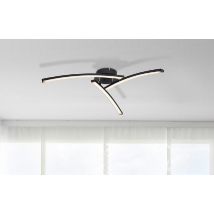 Globo - Kiinteä LED-kattokruunu 3xLED/6W/230V 3000/4000/6000K