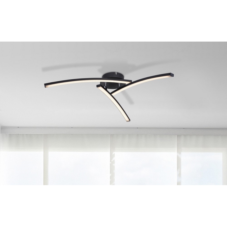 Globo - Kiinteä LED-kattokruunu 3xLED/6W/230V 3000/4000/6000K