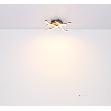 Globo - LED-kattokruunu 4xLED/5W/230V
