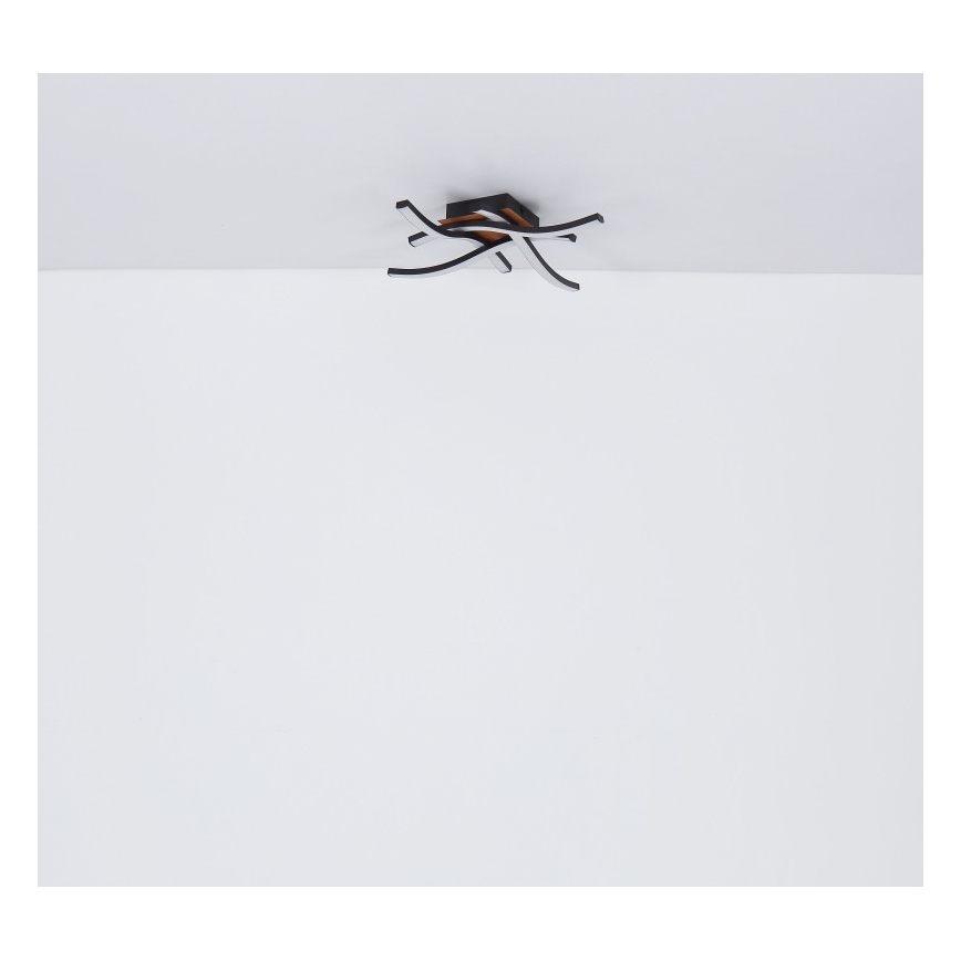 Globo - LED-kattokruunu 4xLED/5W/230V