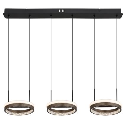 Globo - LED-kattokruunu johdossa LED/40W/230V 3000/4000/6000K ruskea