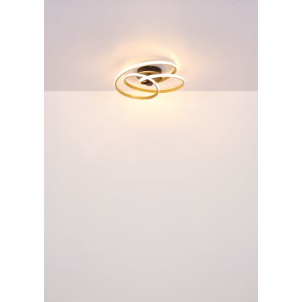 Globo - Kiinteä LED-kattokruunu LED/40W/230V 3000K kulta/musta