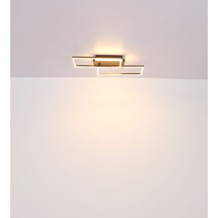 Globo - LED-kattovalaisin LED/40W/230V 62x27 cm mattakromi/musta