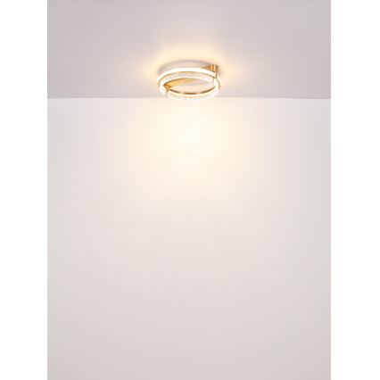 Globo - LED Himmennettävä kristallikattovalaisin LED/36W/230V 2700K-6000K + kauko-ohjaus