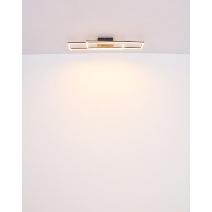 Globo - LED-kattovalaisin LED/30W/230V 3000K 60x80 cm musta