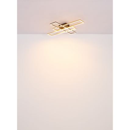 Globo - LED-kattovalaisin LED/30W/230V 3000K 60x80 cm musta/kulta
