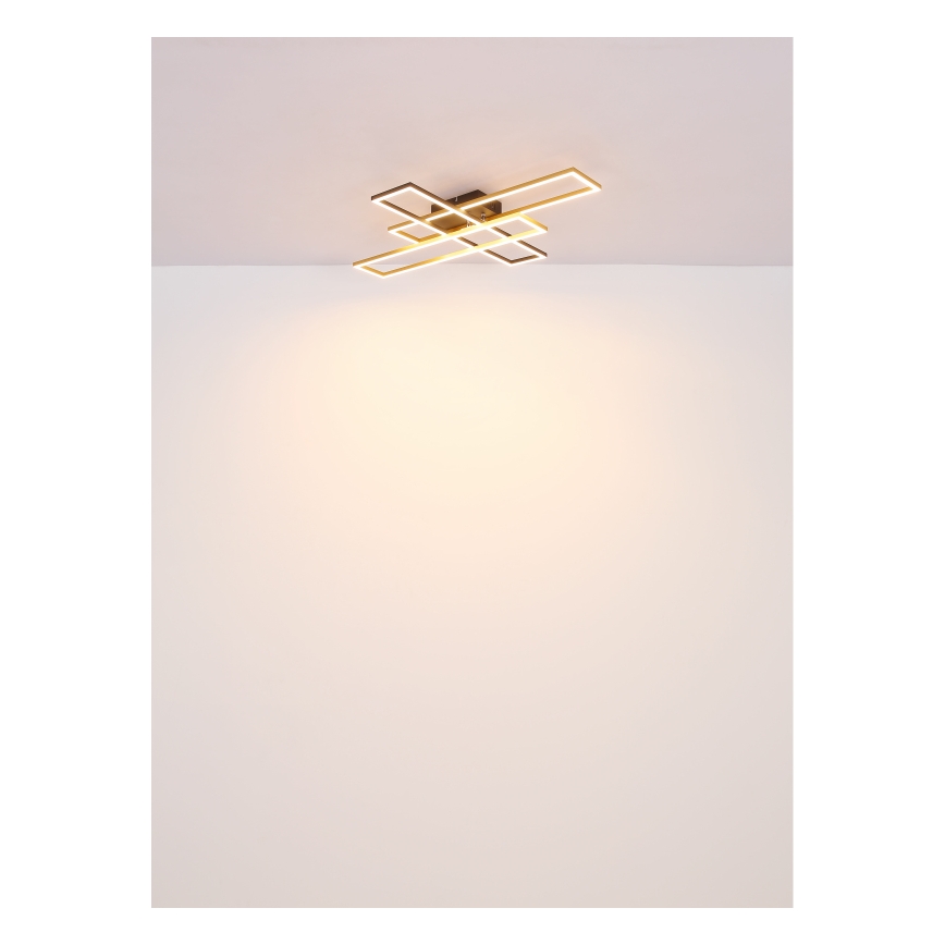 Globo - LED-kattovalaisin LED/30W/230V 3000K 60x80 cm musta/kulta