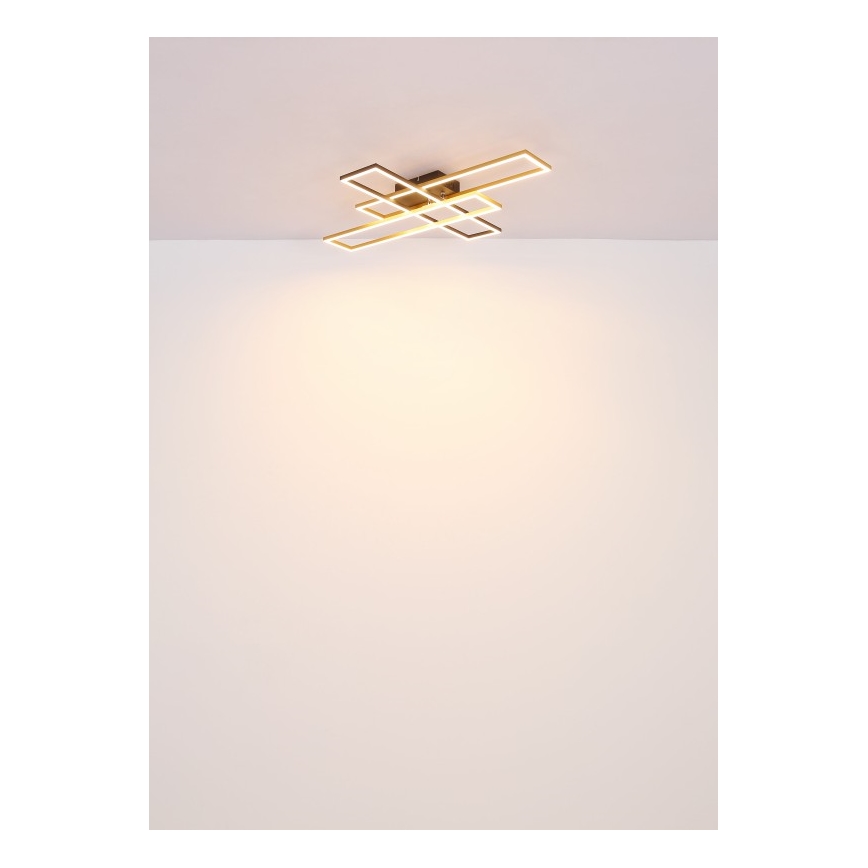 Globo - LED-kattovalaisin LED/40W/230V 3000K 60x80 cm musta/kulta