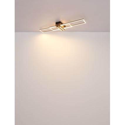 Globo - LED-kattovalaisin LED/40W/230V 3000K 25x100 cm musta