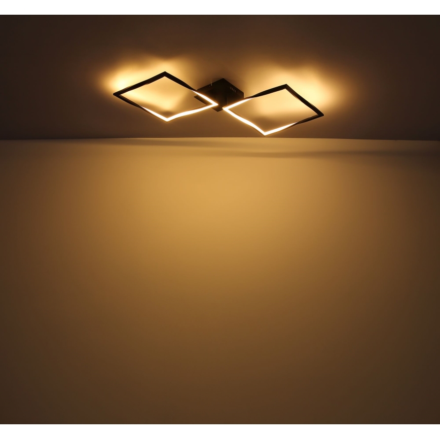 Globo - LED-kattovalaisin LED/24W/230V