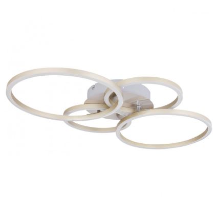 Globo - LED Pinta-asetettava kattokruunu LED/40W/230V