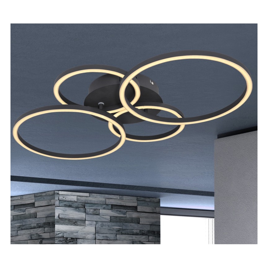Globo - LED Pinta-asetettava kattokruunu LED/40W/230V