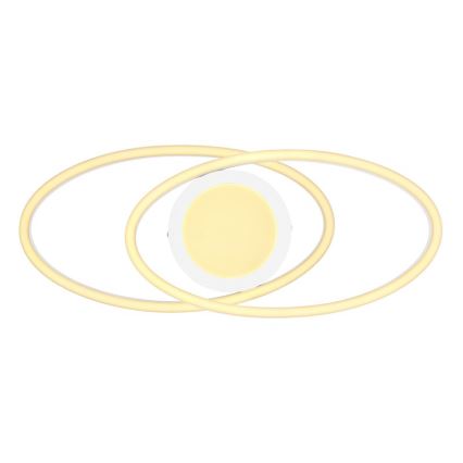 Globo - LED Kattovalaisin LED/24W/230V