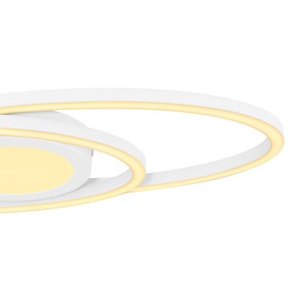 Globo - LED Kattovalaisin LED/24W/230V