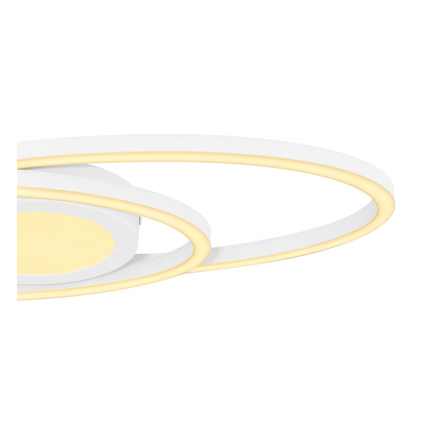 Globo - LED Kattovalaisin LED/24W/230V