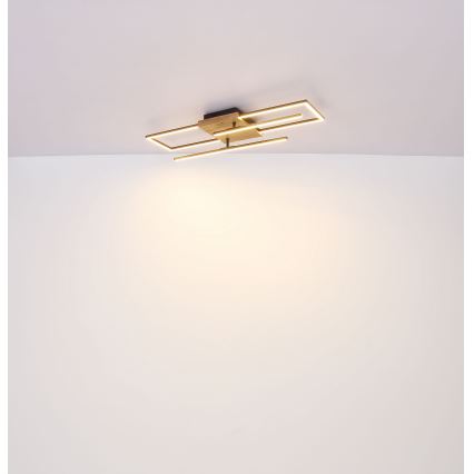 Globo - LED-kattovalaisin LED/18W/230V