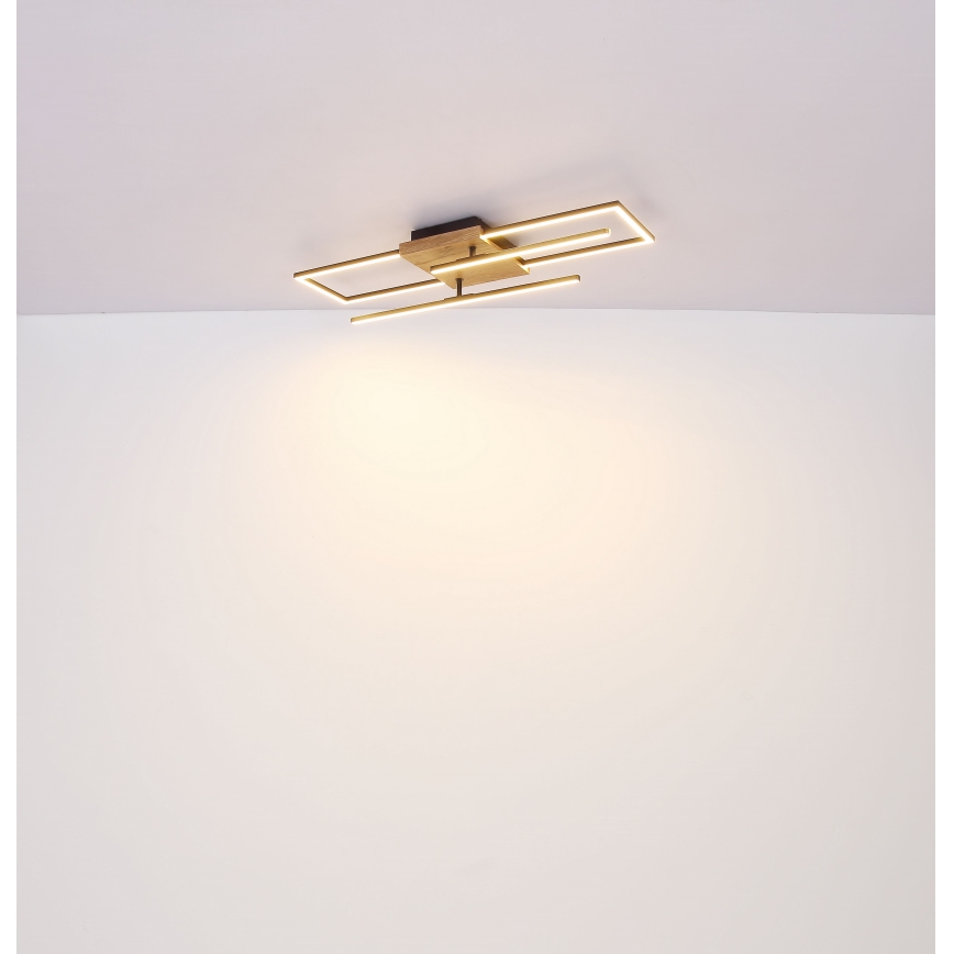 Globo - LED-kattovalaisin LED/18W/230V
